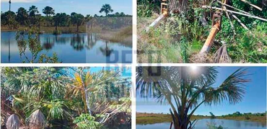 Ótima Fazenda 4.800 has com Toda Logística e infraestrutura na Área Mineira da Sudene | Buritizeiro/ MG