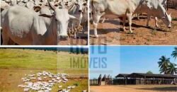 Ótima Fazenda 4.800 has com Toda Logística e infraestrutura na Área Mineira da Sudene | Buritizeiro/ MG