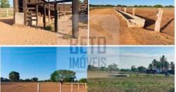 Ótima Fazenda 4.800 has com Toda Logística e infraestrutura na Área Mineira da Sudene | Buritizeiro/ MG