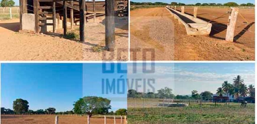 Ótima Fazenda 4.800 has com Toda Logística e infraestrutura na Área Mineira da Sudene | Buritizeiro/ MG