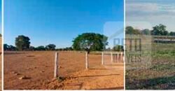 Ótima Fazenda 4.800 has com Toda Logística e infraestrutura na Área Mineira da Sudene | Buritizeiro/ MG