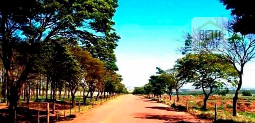 Oportunidade única! Fazenda excepcional área inicial de 1017 alqueires Infraestrutura Completa| Ourinhos/ SP Oportunidade única! Fazenda excepcional área inicial de 1017 alqueires Infraestrutura Completa| Ourinhos/ SP