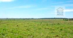 Oportunidade única! Fazenda excepcional área inicial de 1017 alqueires Infraestrutura Completa| Ourinhos/ SP Oportunidade única! Fazenda excepcional área inicial de 1017 alqueires Infraestrutura Completa| Ourinhos/ SP