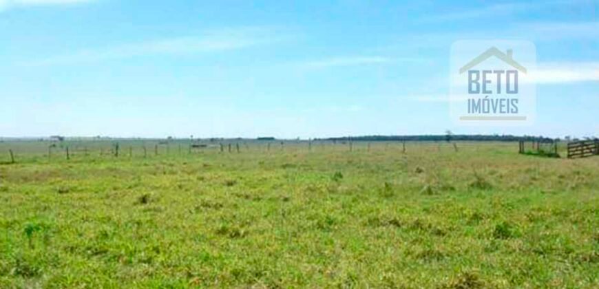 Oportunidade única! Fazenda excepcional área inicial de 1017 alqueires Infraestrutura Completa| Ourinhos/ SP Oportunidade única! Fazenda excepcional área inicial de 1017 alqueires Infraestrutura Completa| Ourinhos/ SP