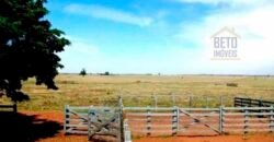 Oportunidade única! Fazenda excepcional área inicial de 1017 alqueires Infraestrutura Completa| Ourinhos/ SP Oportunidade única! Fazenda excepcional área inicial de 1017 alqueires Infraestrutura Completa| Ourinhos/ SP