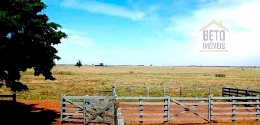 Oportunidade única! Fazenda excepcional área inicial de 1017 alqueires Infraestrutura Completa| Ourinhos/ SP Oportunidade única! Fazenda excepcional área inicial de 1017 alqueires Infraestrutura Completa| Ourinhos/ SP