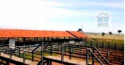 Oportunidade única! Fazenda excepcional área inicial de 1017 alqueires Infraestrutura Completa| Ourinhos/ SP Oportunidade única! Fazenda excepcional área inicial de 1017 alqueires Infraestrutura Completa| Ourinhos/ SP