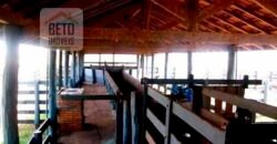 Oportunidade única! Fazenda excepcional área inicial de 1017 alqueires Infraestrutura Completa| Ourinhos/ SP Oportunidade única! Fazenda excepcional área inicial de 1017 alqueires Infraestrutura Completa| Ourinhos/ SP