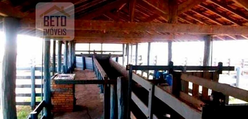 Oportunidade única! Fazenda excepcional área inicial de 1017 alqueires Infraestrutura Completa| Ourinhos/ SP Oportunidade única! Fazenda excepcional área inicial de 1017 alqueires Infraestrutura Completa| Ourinhos/ SP