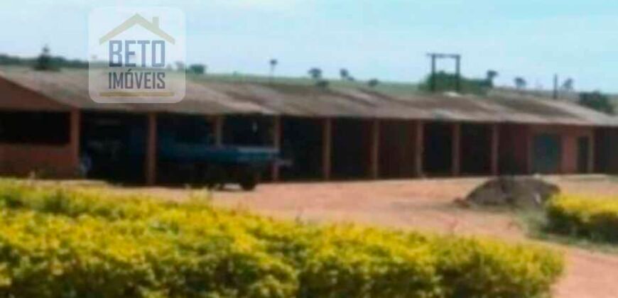 Oportunidade única! Fazenda excepcional área inicial de 1017 alqueires Infraestrutura Completa| Ourinhos/ SP Oportunidade única! Fazenda excepcional área inicial de 1017 alqueires Infraestrutura Completa| Ourinhos/ SP