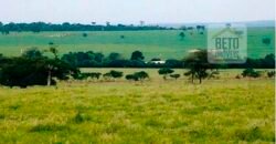 Oportunidade única! Fazenda excepcional área inicial de 1017 alqueires Infraestrutura Completa| Ourinhos/ SP Oportunidade única! Fazenda excepcional área inicial de 1017 alqueires Infraestrutura Completa| Ourinhos/ SP