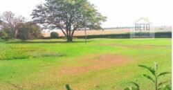 Oportunidade única! Fazenda excepcional área inicial de 1017 alqueires Infraestrutura Completa| Ourinhos/ SP Oportunidade única! Fazenda excepcional área inicial de 1017 alqueires Infraestrutura Completa| Ourinhos/ SP