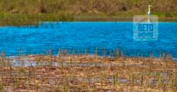 Oportunidade única! Fazenda excepcional área inicial de 1017 alqueires Infraestrutura Completa| Ourinhos/ SP Oportunidade única! Fazenda excepcional área inicial de 1017 alqueires Infraestrutura Completa| Ourinhos/ SP