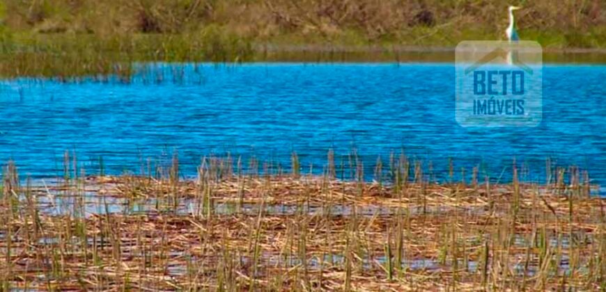 Oportunidade única! Fazenda excepcional área inicial de 1017 alqueires Infraestrutura Completa| Ourinhos/ SP Oportunidade única! Fazenda excepcional área inicial de 1017 alqueires Infraestrutura Completa| Ourinhos/ SP