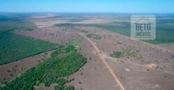 Oportunidade Única: Fazenda Excepcional 980 alqueires Pista de pouso em Tocantins