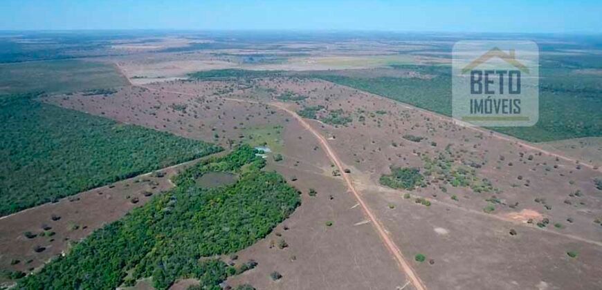 Oportunidade Única: Fazenda Excepcional 980 alqueires Pista de pouso em Tocantins