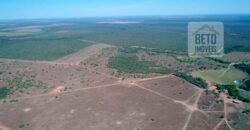Oportunidade Única: Fazenda Excepcional 980 alqueires Pista de pouso em Tocantins