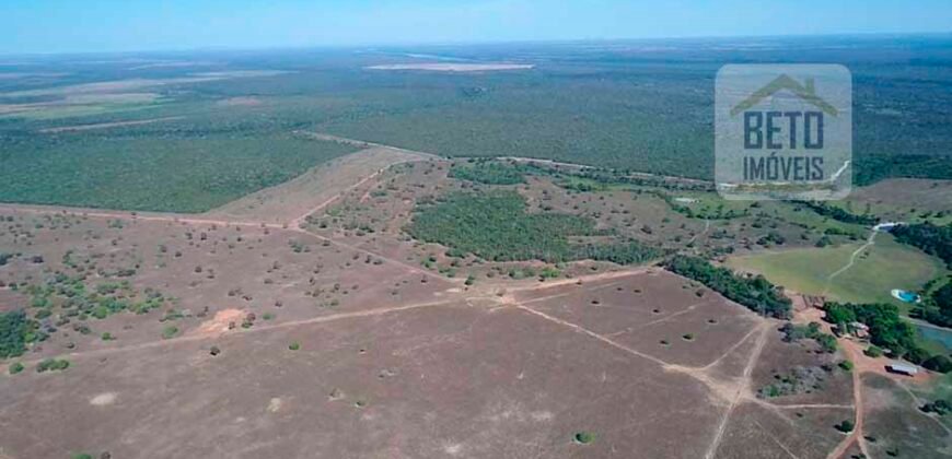 Oportunidade Única: Fazenda Excepcional 980 alqueires Pista de pouso em Tocantins