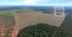 Oportunidade Única: Fazenda Excepcional 980 alqueires Pista de pouso em Tocantins