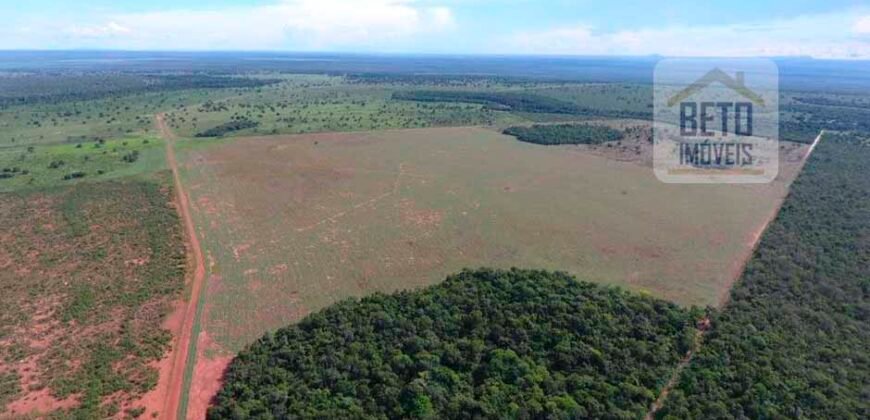 Oportunidade Única: Fazenda Excepcional 980 alqueires Pista de pouso em Tocantins
