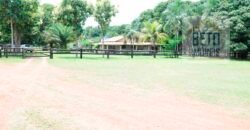 Oportunidade Única: Fazenda Excepcional 980 alqueires Pista de pouso em Tocantins