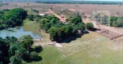 Oportunidade Única: Fazenda Excepcional 980 alqueires Pista de pouso em Tocantins