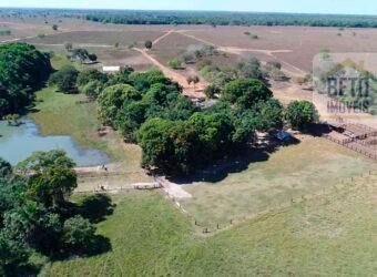 Oportunidade Única: Fazenda Excepcional 980 alqueires Pista de pouso em Tocantins Oportunidade Única: Fazenda Excepcional 980 alqueires Pista de pouso em Tocantins