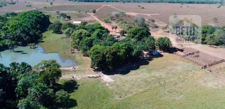 Oportunidade Única: Fazenda Excepcional 980 alqueires Pista de pouso em Tocantins
