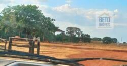 Oportunidade Única: Fazenda Excepcional 980 alqueires Pista de pouso em Tocantins