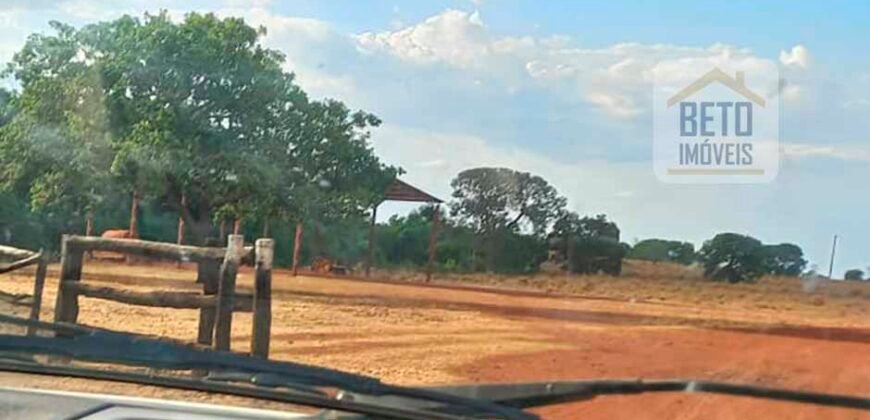 Oportunidade Única: Fazenda Excepcional 980 alqueires Pista de pouso em Tocantins
