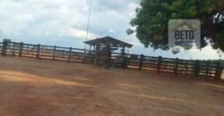 Oportunidade Única: Fazenda Excepcional 980 alqueires Pista de pouso em Tocantins
