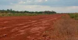 Oportunidade Única: Fazenda Excepcional 980 alqueires Pista de pouso em Tocantins