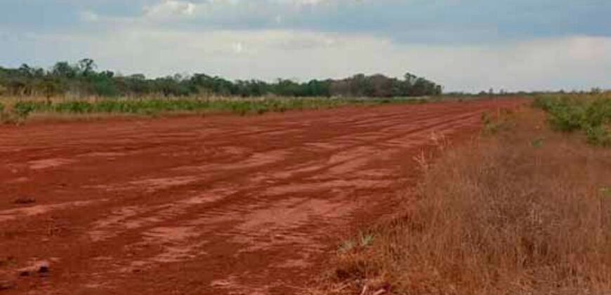 Oportunidade Única: Fazenda Excepcional 980 alqueires Pista de pouso em Tocantins