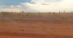 Oportunidade Única: Fazenda Excepcional 980 alqueires Pista de pouso em Tocantins