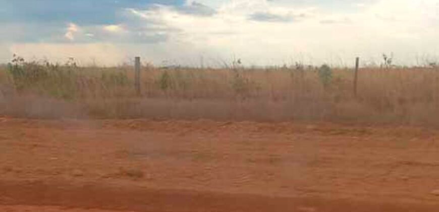 Oportunidade Única: Fazenda Excepcional 980 alqueires Pista de pouso em Tocantins