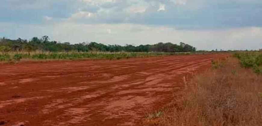 Oportunidade Única: Fazenda Excepcional 980 alqueires Pista de pouso em Tocantins