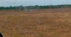 Oportunidade Única: Fazenda Excepcional 980 alqueires Pista de pouso em Tocantins