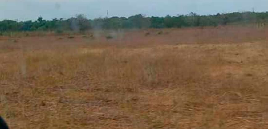 Oportunidade Única: Fazenda Excepcional 980 alqueires Pista de pouso em Tocantins