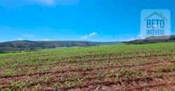 Oportunidade Única: Fazenda 3.500 hectares Ótima para Lavoura e Pecuária | Delfinópolis/MG