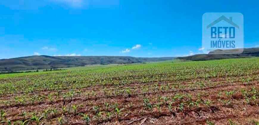 Oportunidade Única: Fazenda 3.500 hectares Ótima para Lavoura e Pecuária | Delfinópolis/MG