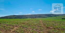 Oportunidade Única: Fazenda 3.500 hectares Ótima para Lavoura e Pecuária | Delfinópolis/MG