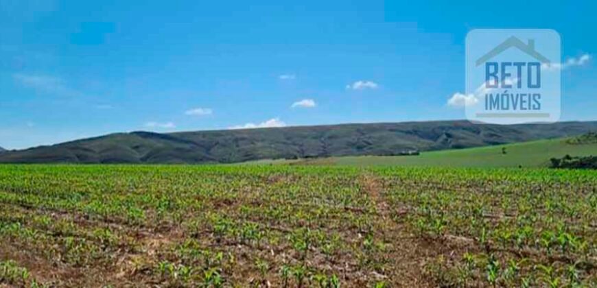 Oportunidade Única: Fazenda 3.500 hectares Ótima para Lavoura e Pecuária | Delfinópolis/MG