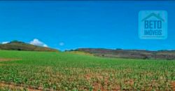 Oportunidade Única: Fazenda 3.500 hectares Ótima para Lavoura e Pecuária | Delfinópolis/MG