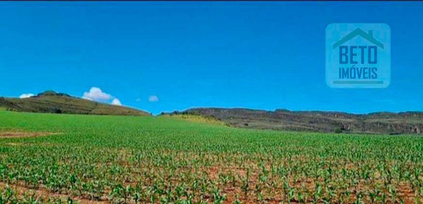 Oportunidade Única: Fazenda 3.500 hectares Ótima para Lavoura e Pecuária | Delfinópolis/MG