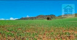 Oportunidade Única: Fazenda 3.500 hectares Ótima para Lavoura e Pecuária | Delfinópolis/MG