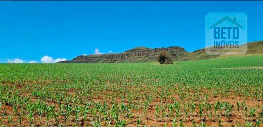 Oportunidade Única: Fazenda 3.500 hectares Ótima para Lavoura e Pecuária | Delfinópolis/MG