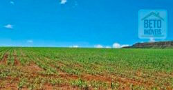 Oportunidade Única: Fazenda 3.500 hectares Ótima para Lavoura e Pecuária | Delfinópolis/MG