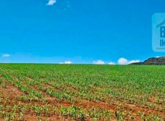 Oportunidade Única: Fazenda 3.500 hectares Ótima para Lavoura e Pecuária | Delfinópolis/MG