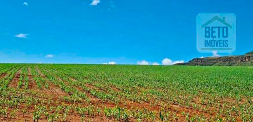 Oportunidade Única: Fazenda 3.500 hectares Ótima para Lavoura e Pecuária | Delfinópolis/MG