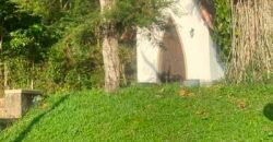 Oportunida Única: Fazenda de Café 1.535 hectares Estrutura completa Lavoura e Pecuária | Patrocínio/ MG Oportunida Única: Fazenda de Café 1.535 hectares Estrutura completa Lavoura e Pecuária | Patrocínio/ MG